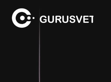 Компания Gurusvet